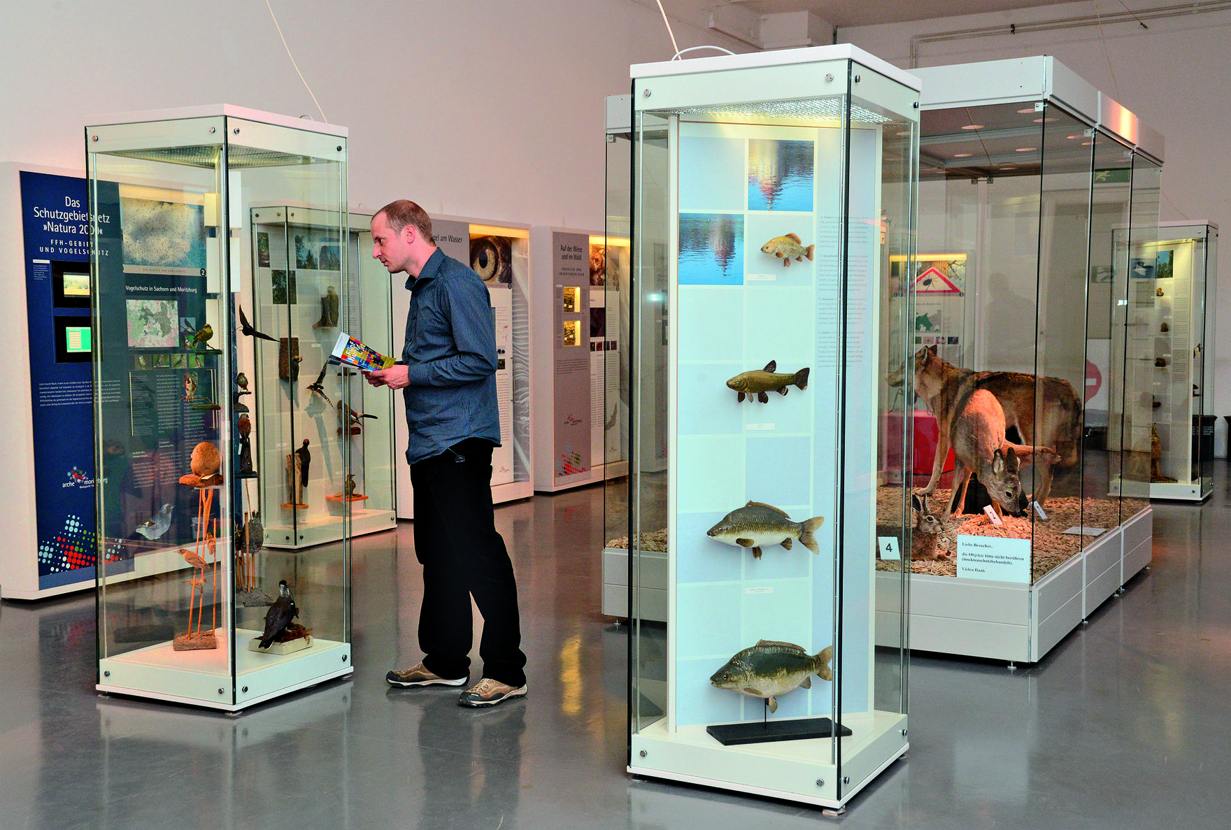 Besucher in den Senckenberg Naturhistorischen Sammlungen Dresden